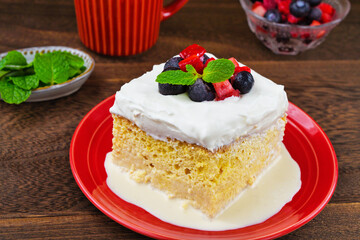 メキシコのスイーツ パステル・デ・トレス・レチェス(3種のミルクのケーキ)  Mexican sweets Pastel de Tres Leches( Mexican Tres Leches Cake,Tres Leches Cake,Three Milk Cake, 3 Milk Cake)