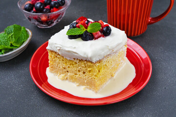 メキシコのスイーツ パステル・デ・トレス・レチェス(3種のミルクのケーキ)  Mexican sweets Pastel de Tres Leches( Mexican Tres Leches Cake,Tres Leches Cake,Three Milk Cake, 3 Milk Cake)