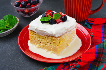 メキシコのスイーツ パステル・デ・トレス・レチェス(3種のミルクのケーキ)  Mexican sweets Pastel de Tres Leches( Mexican Tres Leches Cake,Tres Leches Cake,Three Milk Cake, 3 Milk Cake)