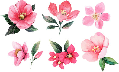 set of pink flowers