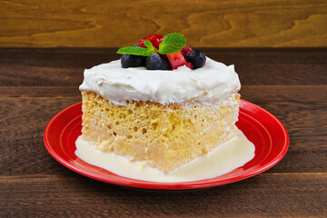 メキシコのスイーツ パステル・デ・トレス・レチェス(3種のミルクのケーキ) コピースペースあり Mexican sweets Pastel de Tres Leches( Mexican Tres Leches Cake,Tres Leches Cake,Three Milk Cake, 3 Milk Cake) with copy space