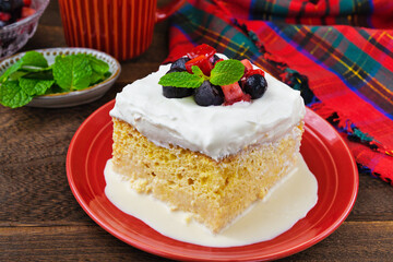 メキシコのスイーツ パステル・デ・トレス・レチェス(3種のミルクのケーキ) コピースペースあり Mexican sweets Pastel de Tres Leches( Mexican Tres Leches Cake,Tres Leches Cake,Three Milk Cake, 3 Milk Cake) with copy space