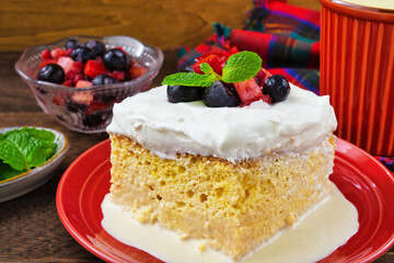 メキシコのスイーツ パステル・デ・トレス・レチェス(3種のミルクのケーキ) コピースペースあり Mexican sweets Pastel de Tres Leches( Mexican Tres Leches Cake,Tres Leches Cake,Three Milk Cake, 3 Milk Cake) with copy space