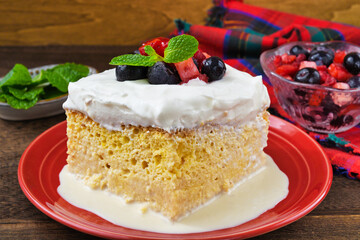 メキシコのスイーツ パステル・デ・トレス・レチェス(3種のミルクのケーキ) コピースペースあり Mexican sweets Pastel de Tres Leches( Mexican Tres Leches Cake,Tres Leches Cake,Three Milk Cake, 3 Milk Cake) with copy space