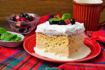 メキシコのスイーツ パステル・デ・トレス・レチェス(3種のミルクのケーキ) コピースペースあり Mexican sweets Pastel de Tres Leches( Mexican Tres Leches Cake,Tres Leches Cake,Three Milk Cake, 3 Milk Cake) with copy space