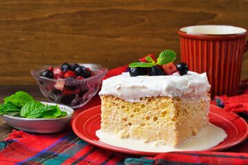 メキシコのスイーツ パステル・デ・トレス・レチェス(3種のミルクのケーキ) コピースペースあり Mexican sweets Pastel de Tres Leches( Mexican Tres Leches Cake,Tres Leches Cake,Three Milk Cake, 3 Milk Cake) with copy space