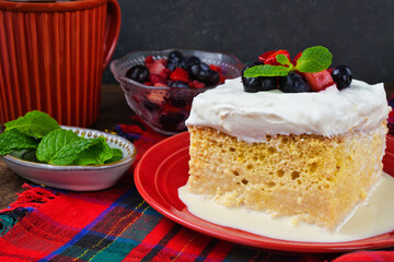 メキシコのスイーツ パステル・デ・トレス・レチェス(3種のミルクのケーキ) コピースペースあり Mexican sweets Pastel de Tres Leches( Mexican Tres Leches Cake,Tres Leches Cake,Three Milk Cake, 3 Milk Cake) with copy space