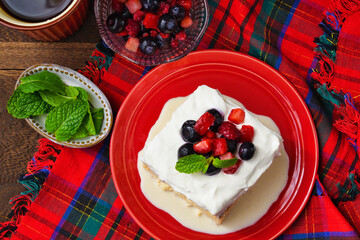 メキシコのスイーツ パステル・デ・トレス・レチェス(3種のミルクのケーキ) コピースペースあり Mexican sweets Pastel de Tres Leches( Mexican Tres Leches Cake,Tres Leches Cake,Three Milk Cake, 3 Milk Cake) with copy space