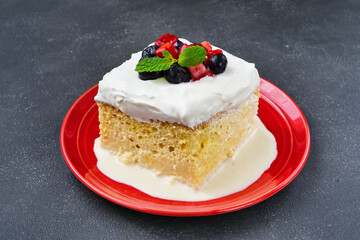 メキシコのスイーツ パステル・デ・トレス・レチェス(3種のミルクのケーキ) コピースペースあり Mexican sweets Pastel de Tres Leches( Mexican Tres Leches Cake,Tres Leches Cake,Three Milk Cake, 3 Milk Cake) with copy space