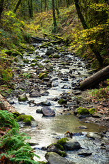 Fall Stream