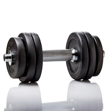 Pesas para ejercicios de musculaci&oacute;n