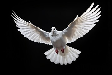 Majestic White Dove in Flight Against a Dark Background Capturing Grace and Freedom in Every Flap With Detailed Feathers and Elegance