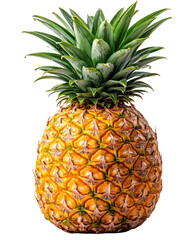 Fototapeta premium Fresh pineapple with vibrant green crown and textured skin