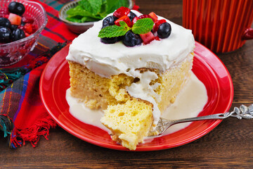 メキシコのスイーツ パステル・デ・トレス・レチェス(3種のミルクのケーキ)  Mexican sweets Pastel de Tres Leches( Mexican Tres Leches Cake,Tres Leches Cake,Three Milk Cake, 3 Milk Cake)