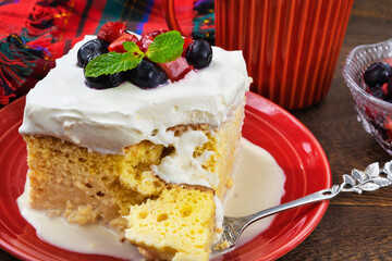 メキシコのスイーツ パステル・デ・トレス・レチェス(3種のミルクのケーキ)  Mexican sweets Pastel de Tres Leches( Mexican Tres Leches Cake,Tres Leches Cake,Three Milk Cake, 3 Milk Cake)