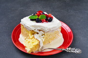 メキシコのスイーツ パステル・デ・トレス・レチェス(3種のミルクのケーキ) コピースペースあり Mexican sweets Pastel de Tres Leches( Mexican Tres Leches Cake,Tres Leches Cake,Three Milk Cake, 3 Milk Cake) with copy space