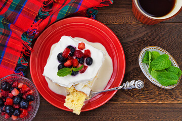 メキシコのスイーツ パステル・デ・トレス・レチェス(3種のミルクのケーキ) コピースペースあり Mexican sweets Pastel de Tres Leches( Mexican Tres Leches Cake,Tres Leches Cake,Three Milk Cake, 3 Milk Cake) with copy space