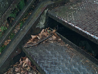 落ち葉が溜まった階段