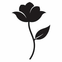black and white rose