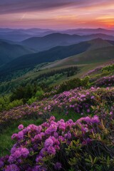 Obraz premium Vibrant pink flowers bloom on a hilltop, as the sky is painted with hues of orange and purple.