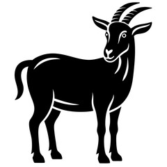 Obraz premium goat on white background