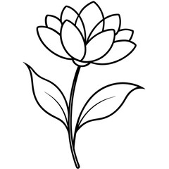 black and white flower