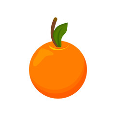 orange fruit vector on white background