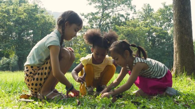 Young grils Children planting sapling on soil