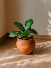 Fototapeta premium Orange pot with green plant on wooden floor