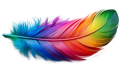 Colorful feather isolated on white background. Close-up image.