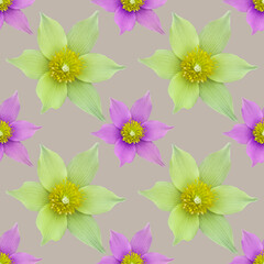 Pasque, pulsatilla. Decorative design element, watercolor, floral ornament. Seamless pattern for shawl, neck scarf. Kerchief design or tablecloth print, scarf, towel. For textile, cotton fabric.
