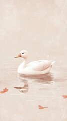 Obraz premium White Duck Serenely Swimming in Calm Water