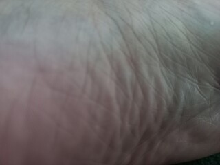 Baby Elephant skin texture for 3d rendering asseta