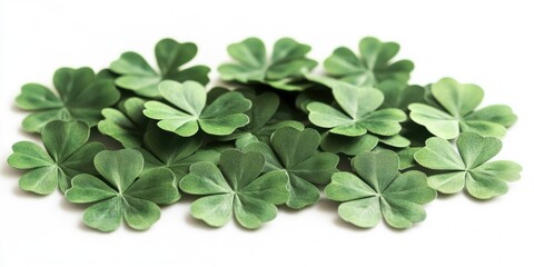 Obraz premium Bunch of green clovers are spread out on a white background. The clovers are arranged in a way that they look like they are forming a heart shape. Concept of happiness and positivity