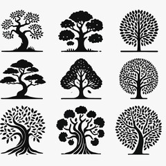 vector set of branching trees