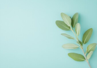 Minimalist Sage Leaves on Pastel for National Sage Day, Earth Day, and Arbor Day