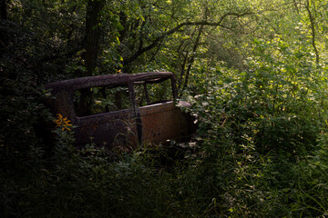 old car rotting away in forest