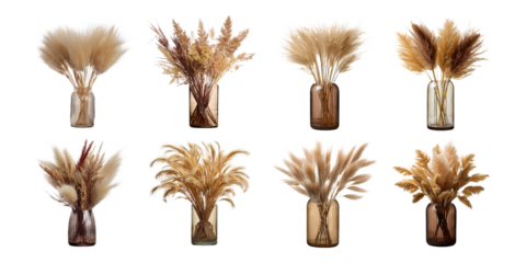 Elegant Dried Grass Arrangements in Glass Vases for Home Decor
