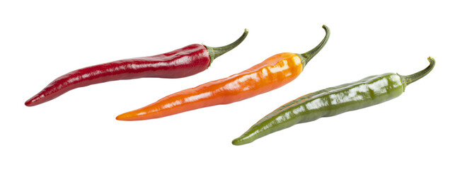 Three Colorful Chili Peppers in Red, Orange, and Green, Isolated on Transparent and White Background