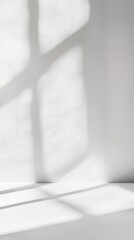 Soft Light and Shadows on Minimalist White Wall and Surface