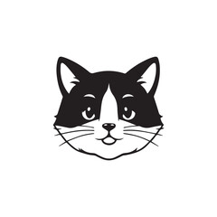 black and white cat 