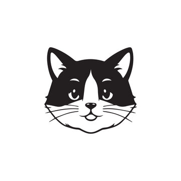 black and white cat 