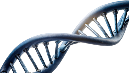 DNA strand 3d render isolated on white background 