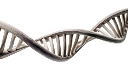 DNA strand 3d render isolated on white background 