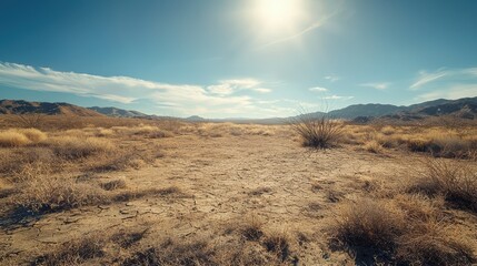 Serene Desert Landscape Under Bright Sunlight with Distant Mountains