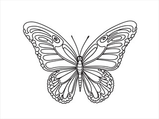 Butterfly mandala vector and illustration
