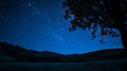 A dark blue sky filled with stars. night. stars