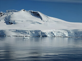 mount with Penguin Images