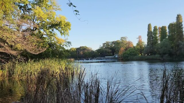 Inokashira pond in Tokyo, Japan in early autumn
