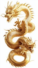 Fototapeta premium Shining Golden Dragon Design